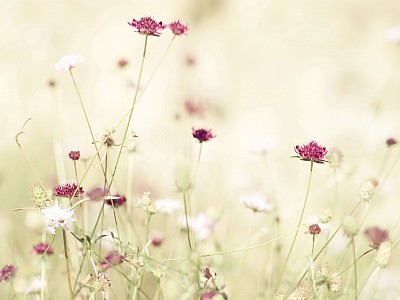 Audrey Paquet cours printemps campagne guitare